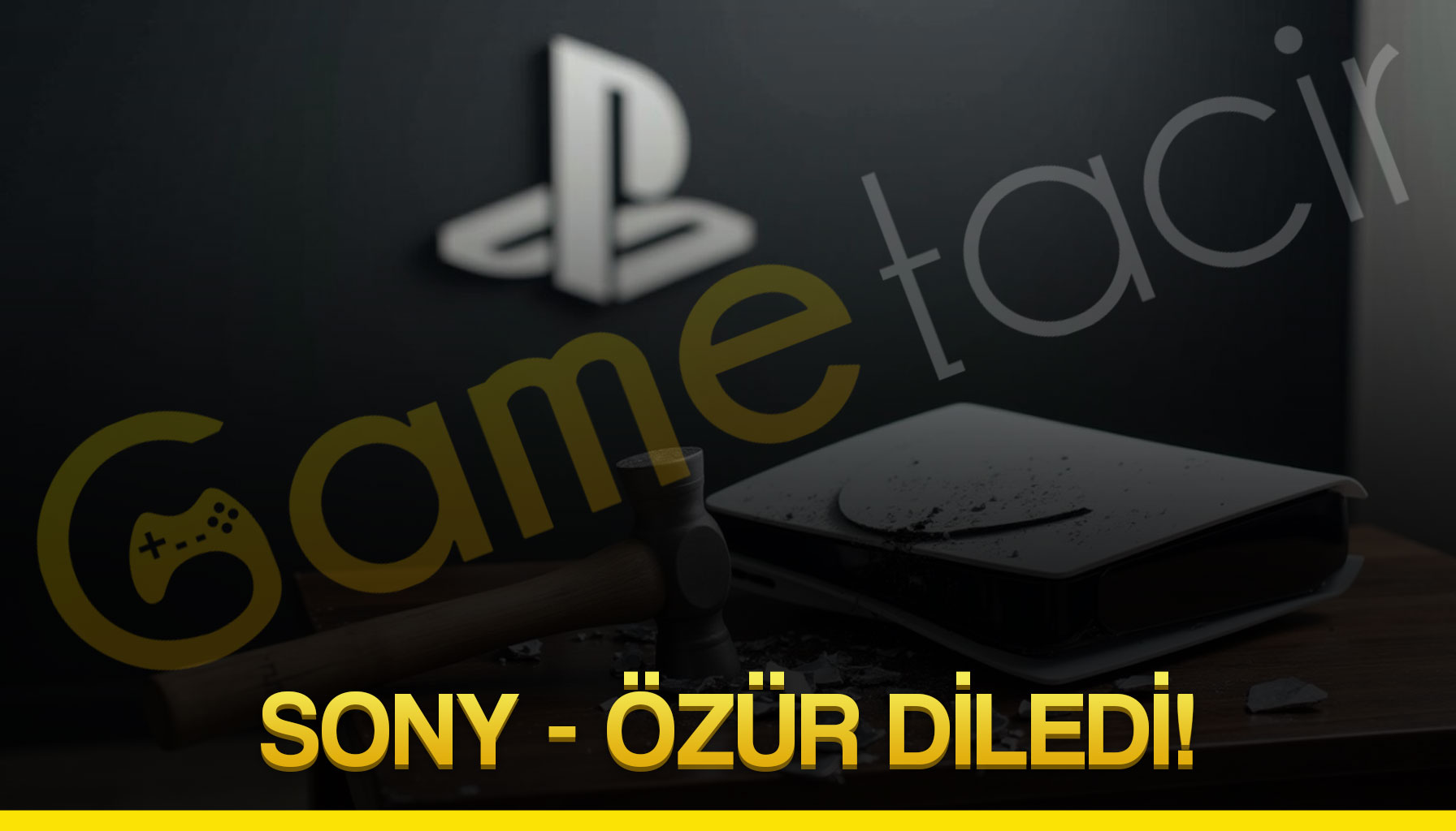 Sony zr Diledi!